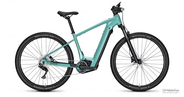 Focus 29 "Jarifa2 6.7" NINE (2024)